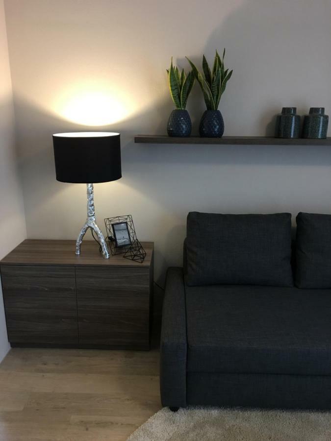 Modry Apartman Долни-Морава Экстерьер фото